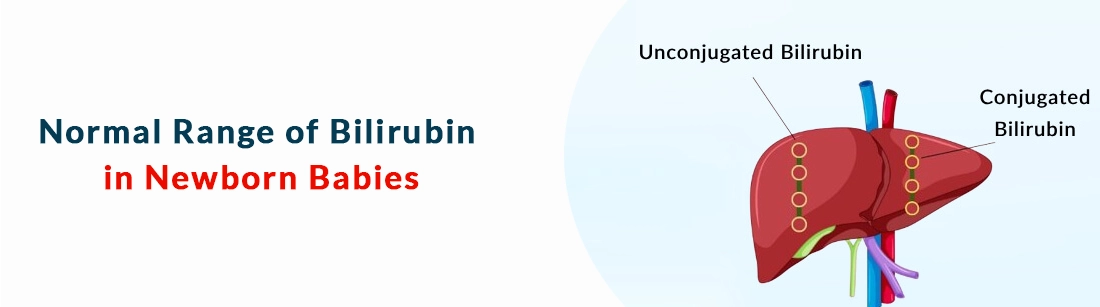 Normal Range of Bilirubin in Newborn Babies